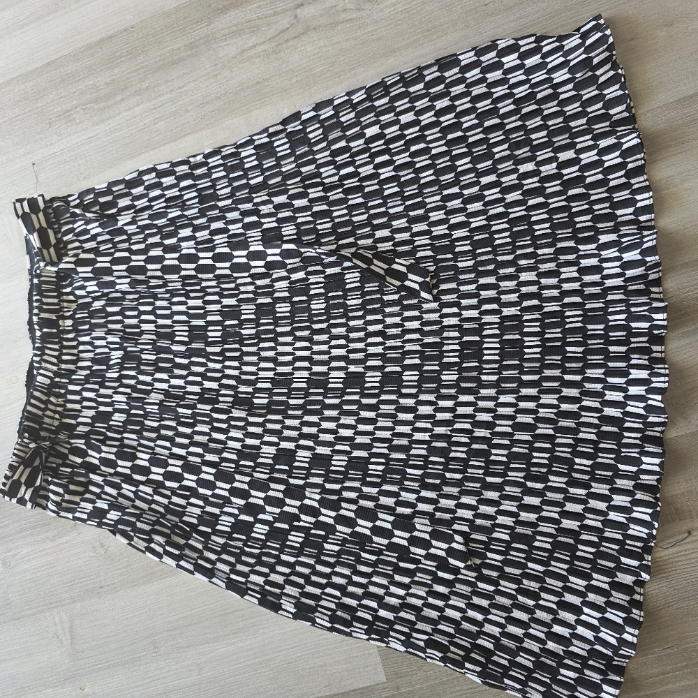 Alice Blue Monochrome A-Line Skirt